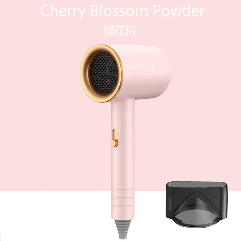 Professional 800W Hair Dryer